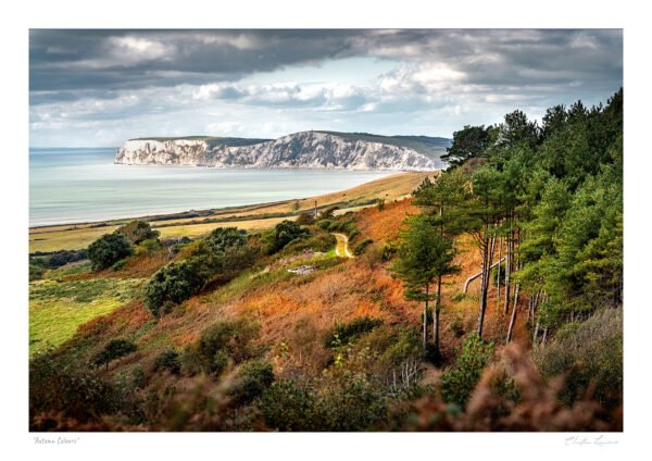 Autumn Colours Above Compton – A View Toward Tennyson Down