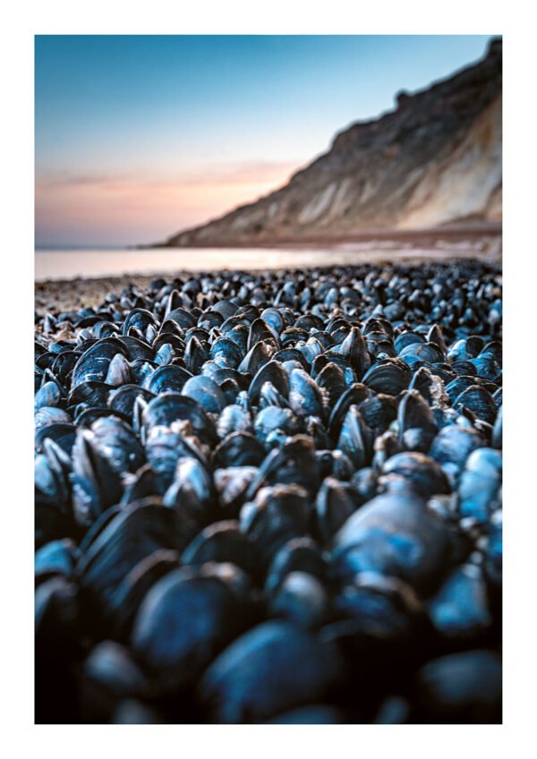 Morning Mussels – Sunrise Alum Bay | Isle of Wight Print