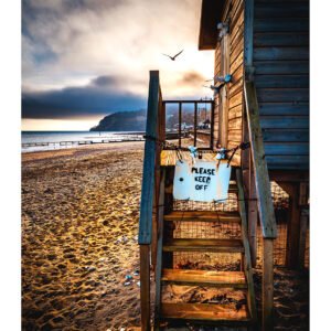 Shanklin Beach Hut & Seagull – Isle of Wight Print