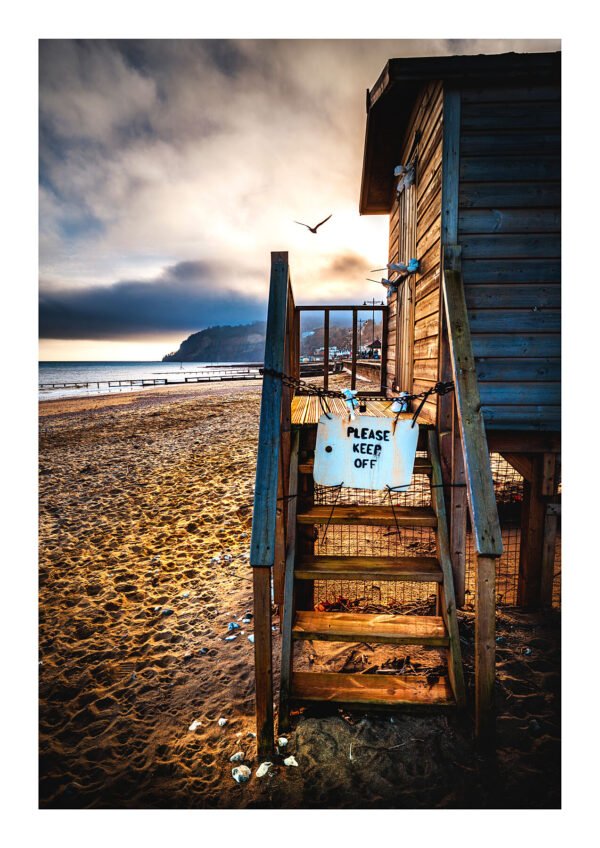 Shanklin Beach Hut & Seagull – Isle of Wight Print
