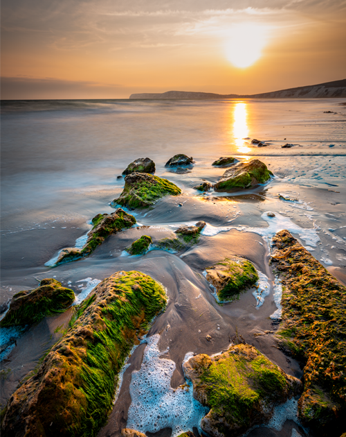 compton-bay-prints