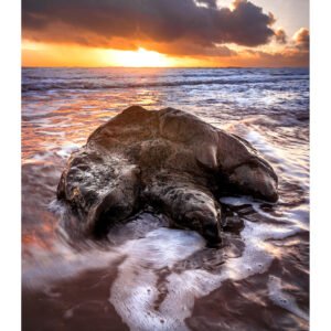 Tide & Time – Iguanodon Footprint at Sunset, Brook Bay