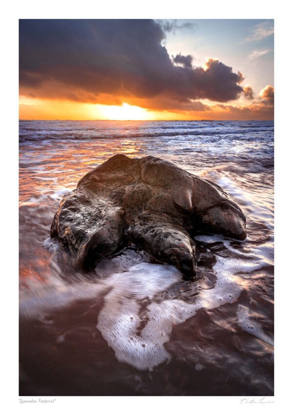 Tide & Time – Iguanodon Footprint at Sunset, Brook Bay